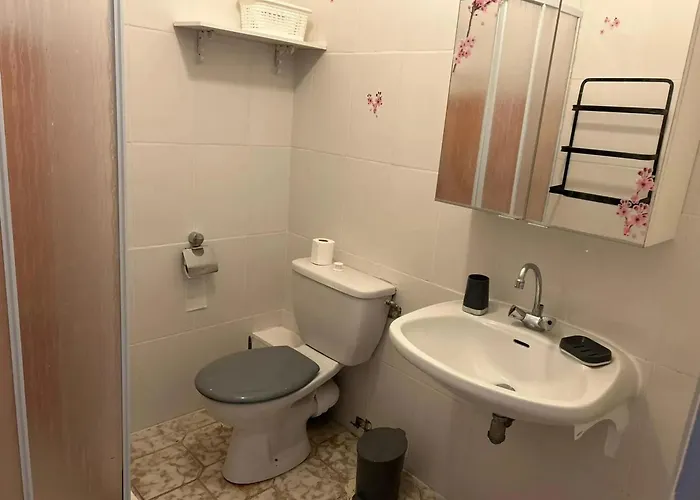 Avec Balcon A Marignana, 30 M², 4 Pers. 아파트